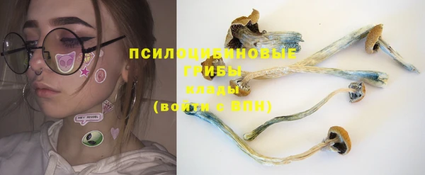 гидропоника Нягань