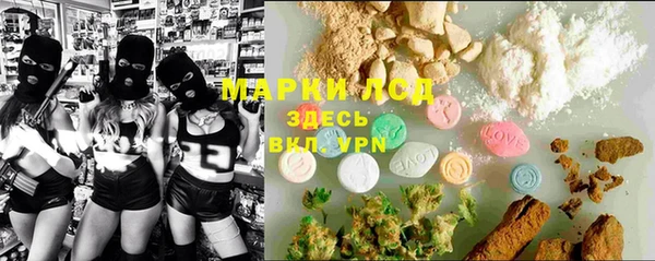 стафф Аркадак