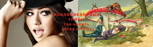 первитин Армянск